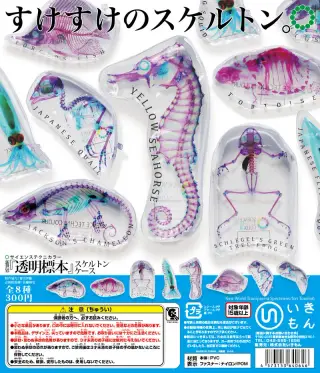 STC 新世界『透明標本』スケルトンケースの画像