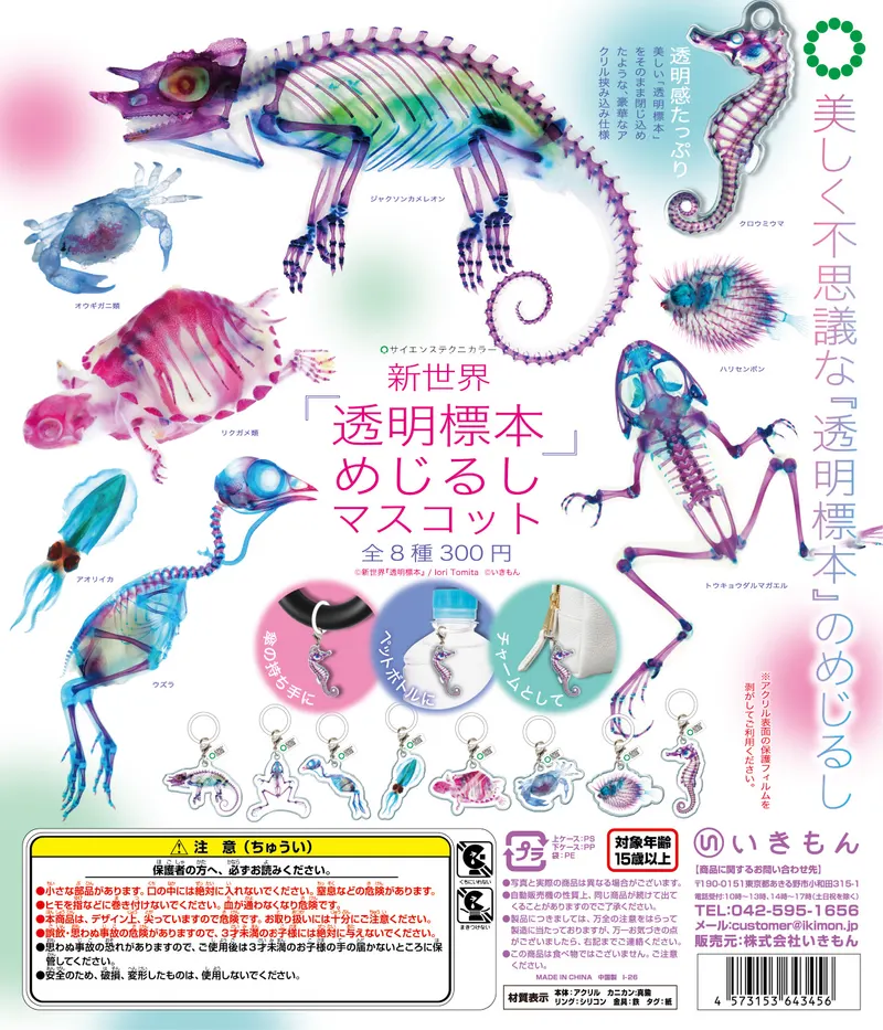 透明標本 ガチャ ガシャポン 新世界『透明標本』めじるしマスコット【ガチャ】｜ガチャ図鑑