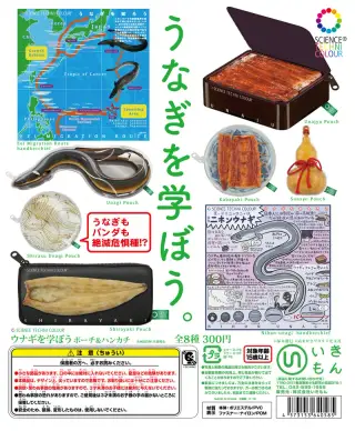 ウナギを学ぼう ポーチ&ハンカチの画像