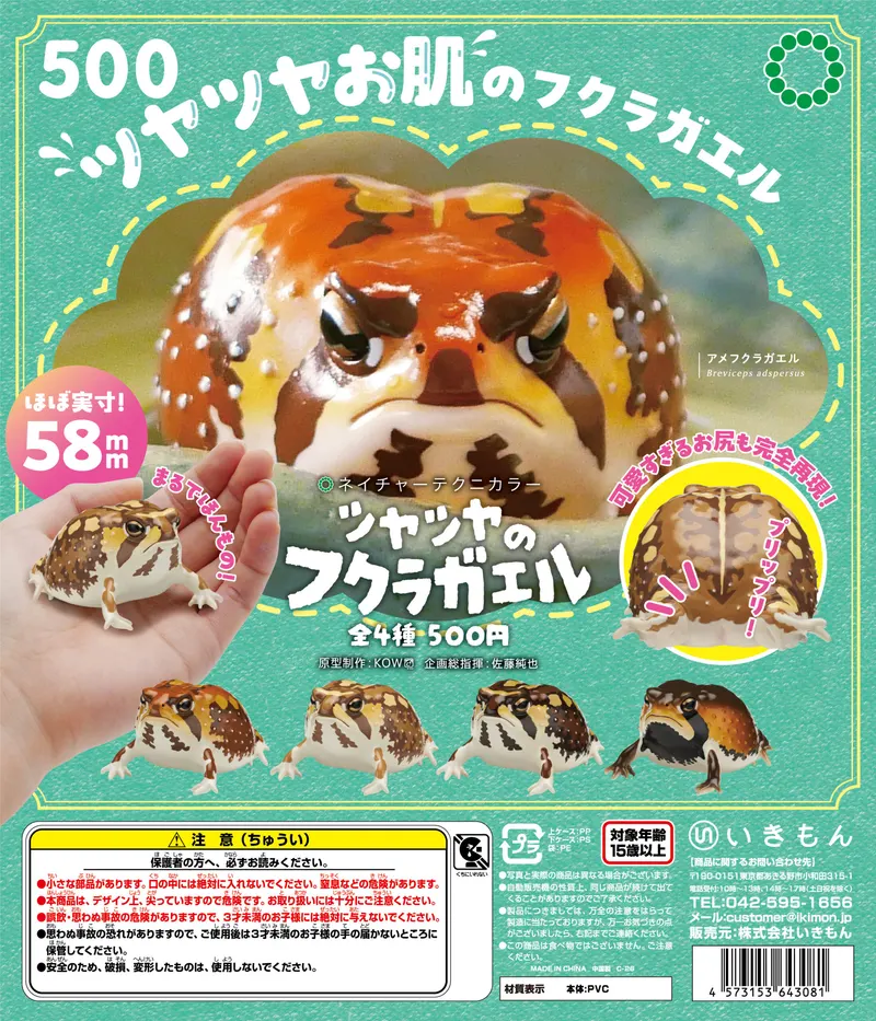 NTC ツヤツヤのフクラガエル(画像)