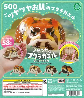 NTC ツヤツヤのフクラガエルの画像