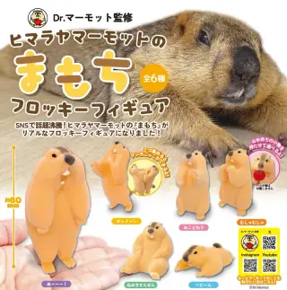 ヒマラヤマーモットのまもち フロッキーフィギュアの画像