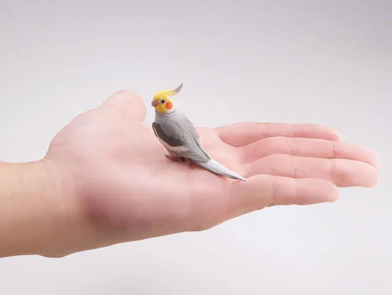 カプセルQミュージアム バードガーデン-鳥の庭- ラインナップ 8