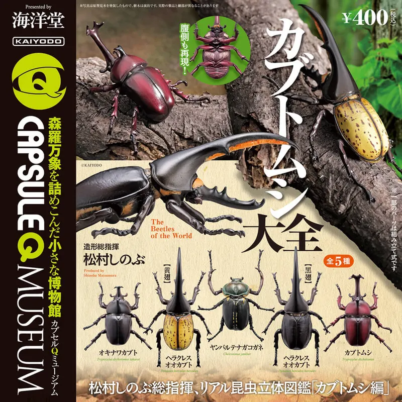 カプセルQミュージアム カブトムシ大全(画像)