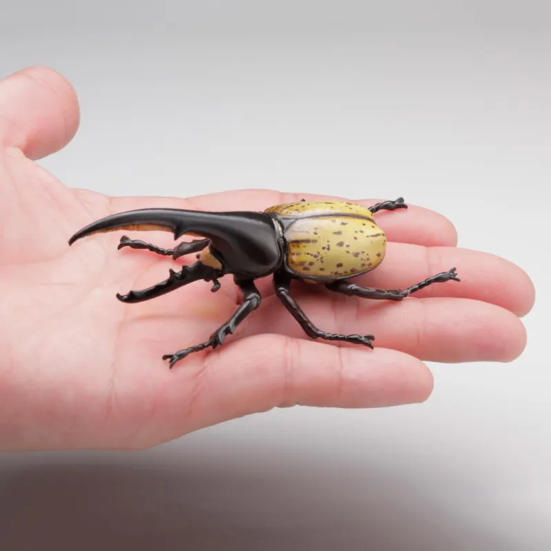 カプセルQミュージアム カブトムシ大全 ラインナップ 3