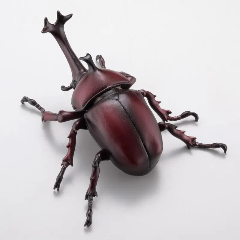 カプセルQミュージアム カブトムシ大全 ラインナップ 4