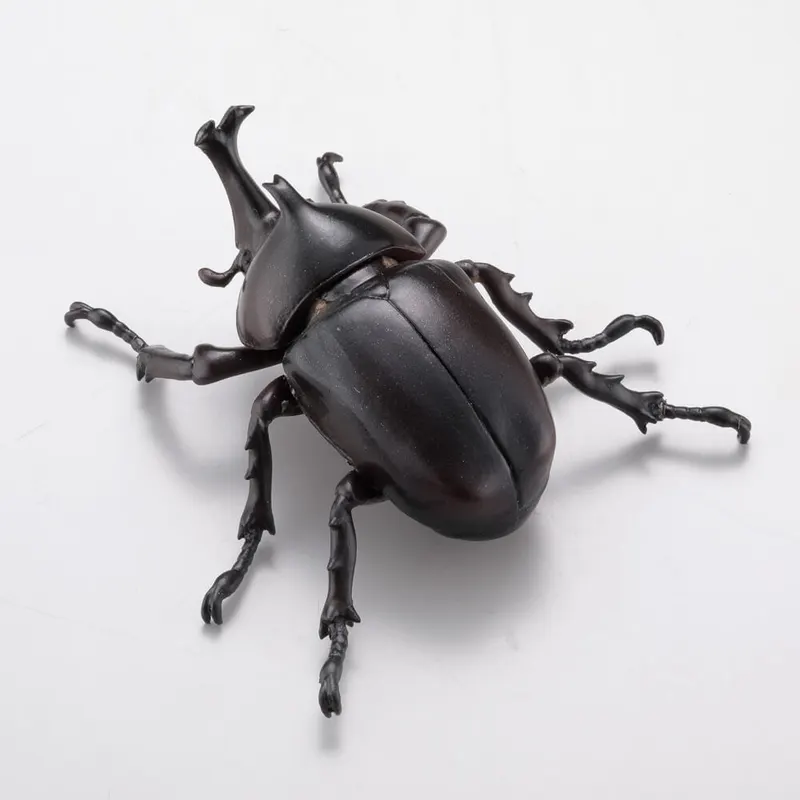 カプセルQミュージアム カブトムシ大全 ラインナップ 5