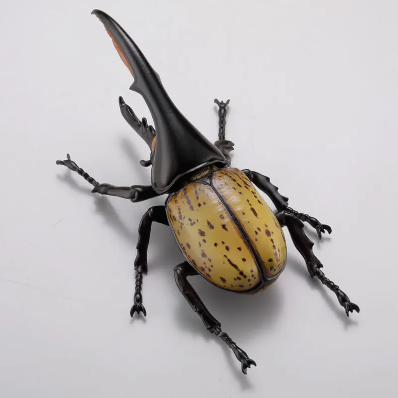 カプセルQミュージアム カブトムシ大全 ラインナップ 6