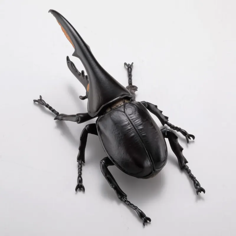 カプセルQミュージアム カブトムシ大全 ラインナップ 7