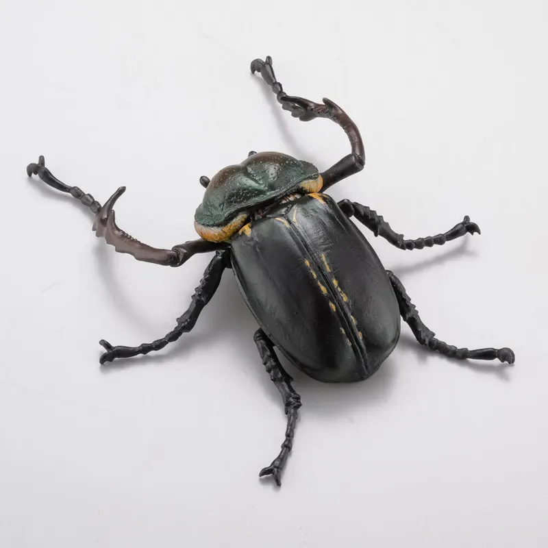 カプセルQミュージアム カブトムシ大全 ラインナップ 8