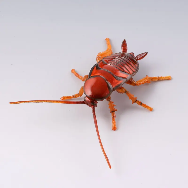 カプセルQミュージアム 実践!ひっつき虫図鑑 -部屋の壁の昆虫王国- ラインナップ 6