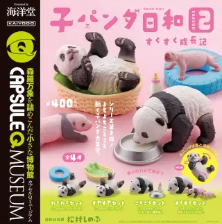 カプセルQミュージアム 子パンダ日和 Season2 -すくすく成長記-の画像