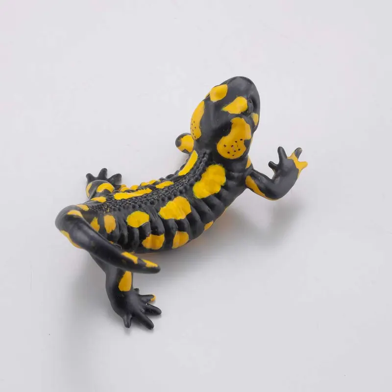 カプセルQミュージアム 有毒危険動物大全vol.2 ラインナップ 6