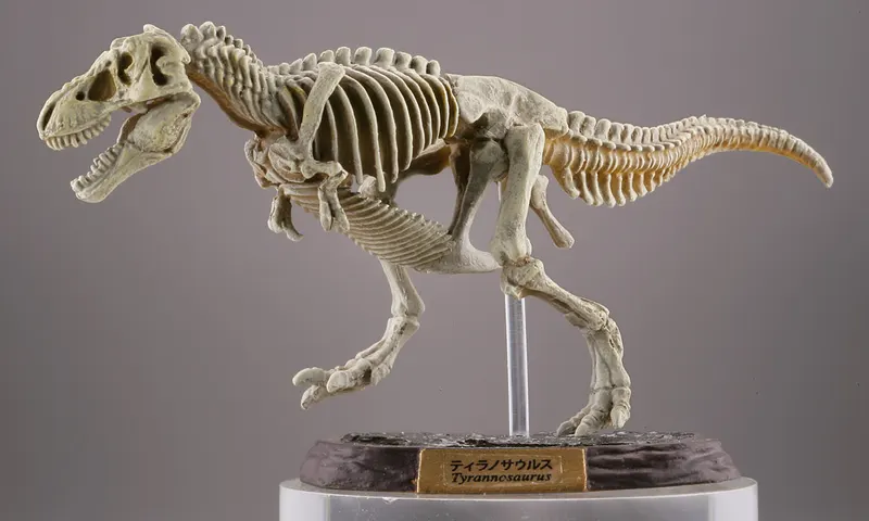 カプセルQミュージアム 恐竜発掘記 恐竜全身骨格展示室 ラインナップ 2