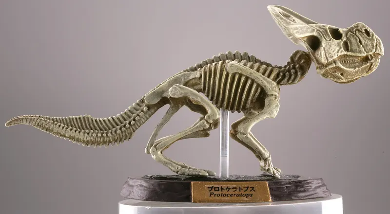 カプセルQミュージアム 恐竜発掘記 恐竜全身骨格展示室 ラインナップ 8