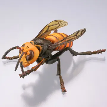 衛生害虫博覧会~身近に潜む生活害虫~(画像)