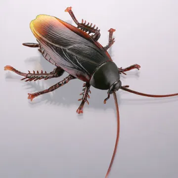 衛生害虫博覧会~身近に潜む生活害虫~ ラインナップ 3