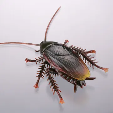 衛生害虫博覧会~身近に潜む生活害虫~ ラインナップ 4