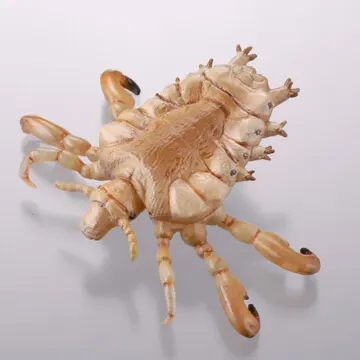 衛生害虫博覧会~身近に潜む生活害虫~ ラインナップ 5