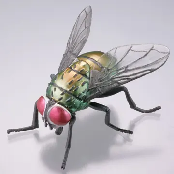 衛生害虫博覧会~身近に潜む生活害虫~ ラインナップ 7