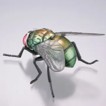 衛生害虫博覧会~身近に潜む生活害虫~ ラインナップ 8