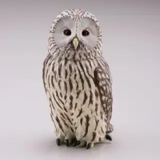 福をよぶ フクロウ大全の画像