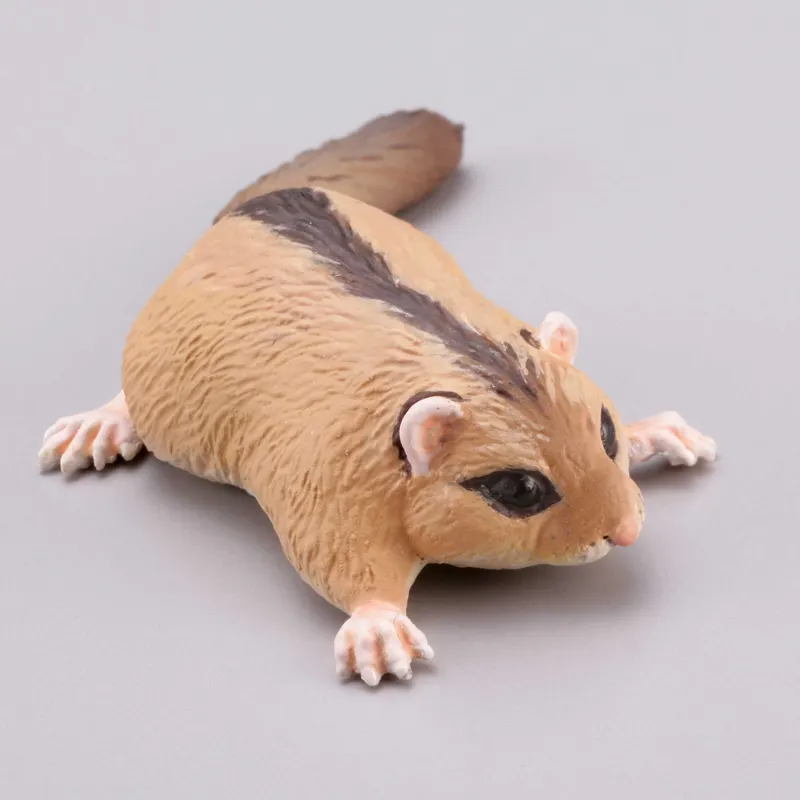 カプセルQミュージアム 日本の動物コレクション8 日本アルプス/雷鳥が棲む岳 ラインナップ 5