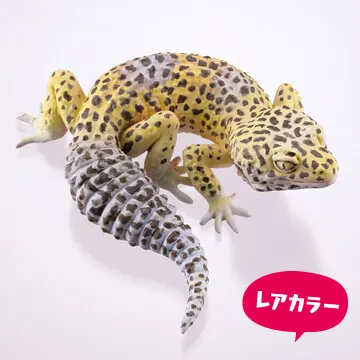 カプセルQミュージアム ヤモリ大全レオパードゲッコー ラインナップ 7