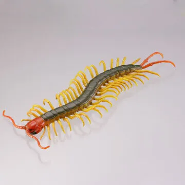 有毒危険動物大全 ラインナップ 5