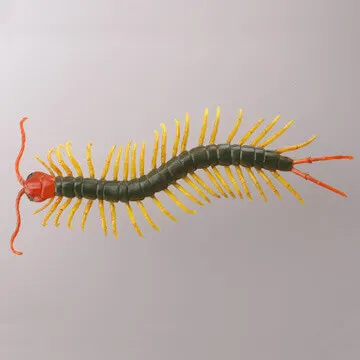 有毒危険動物大全 ラインナップ 6