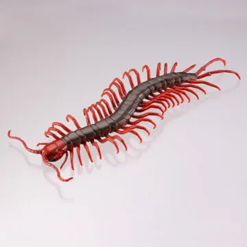 有毒危険動物大全 ラインナップ 7