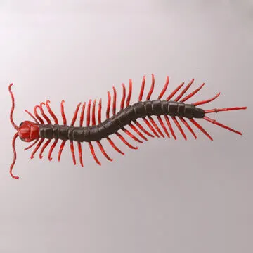 有毒危険動物大全 ラインナップ 8