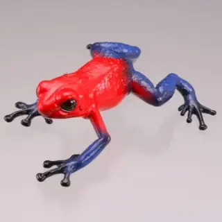有毒危険動物大全の画像