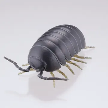 裏庭の生き物 -土壌生物大全- ラインナップ 3