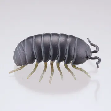 裏庭の生き物 -土壌生物大全- ラインナップ 4