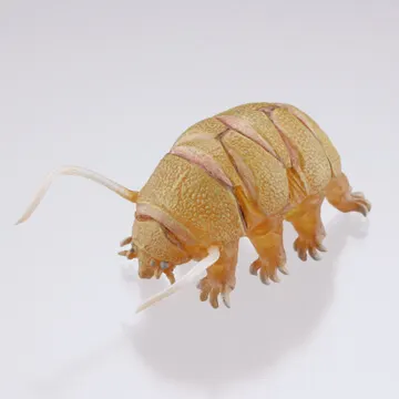裏庭の生き物 -土壌生物大全- ラインナップ 7