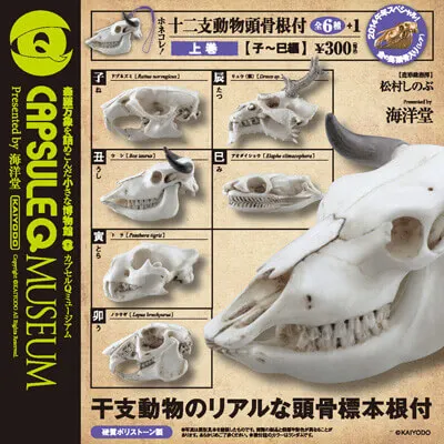 ホネコレ!十二支動物頭骨根付 上巻【子~巳編】 全6+1種/(画像)