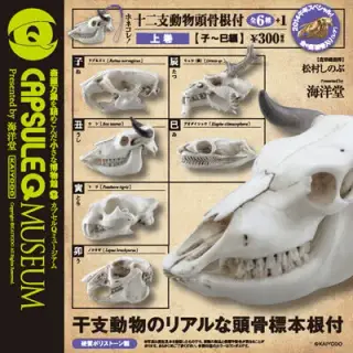 ホネコレ！十二支動物頭骨根付 上巻【子～巳編】 全6＋1種/の画像