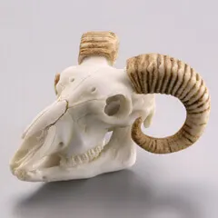 カプセルQミュージアム ホネコレ！十二支動物頭骨根付 下巻【午～亥編】 全6＋1種/ ラインナップ 5