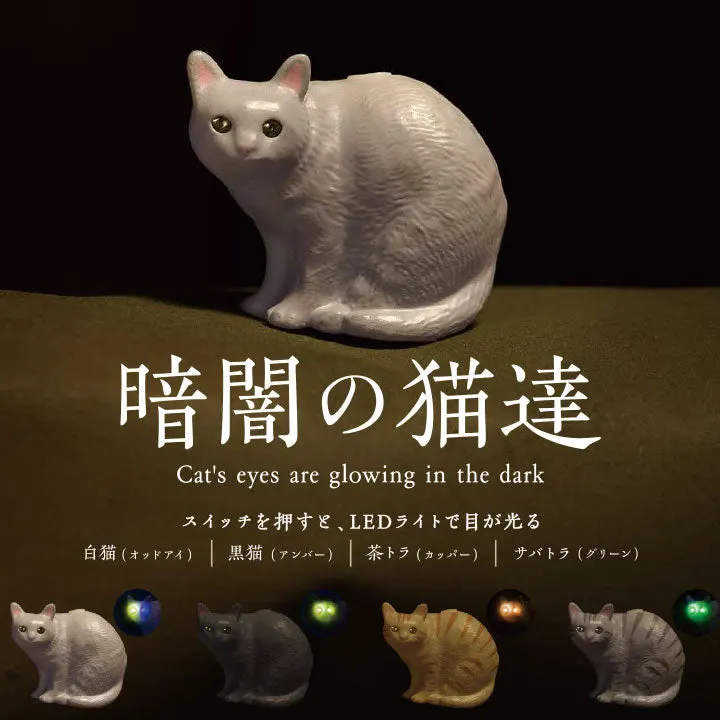 暗闇の猫達(画像)