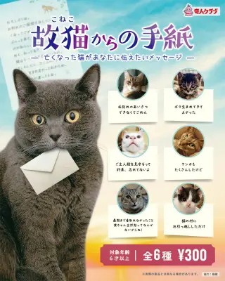 故猫からの手紙の画像