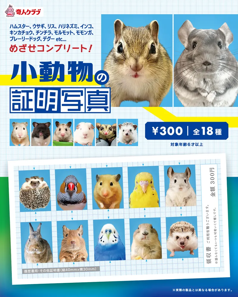 小動物の証明写真(画像)