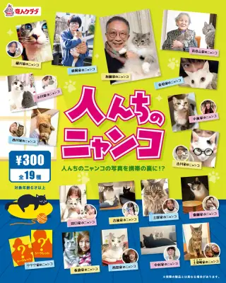 人んちのニャンコの画像