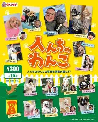 人んちのわんこの画像