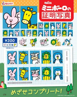 ミニボーロの証明写真の画像