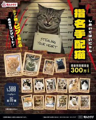 指名手配猫(しめいてはいにゃん)の画像