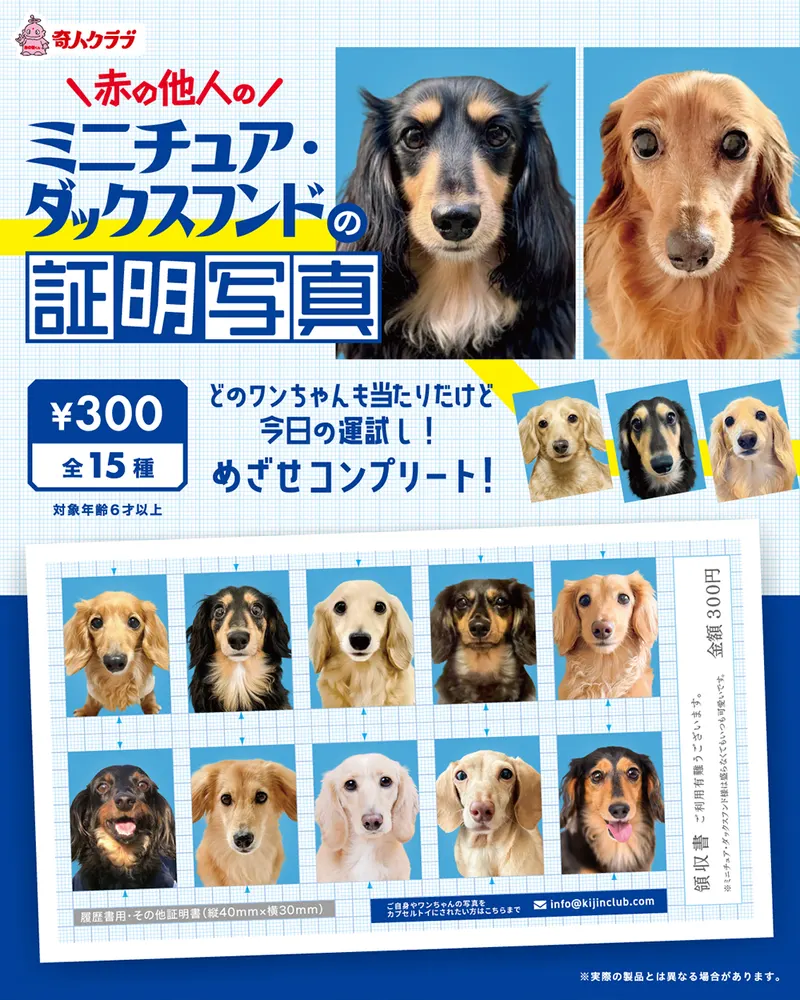 赤の他人のミニチュア・ダックスフンドの証明写真(画像)