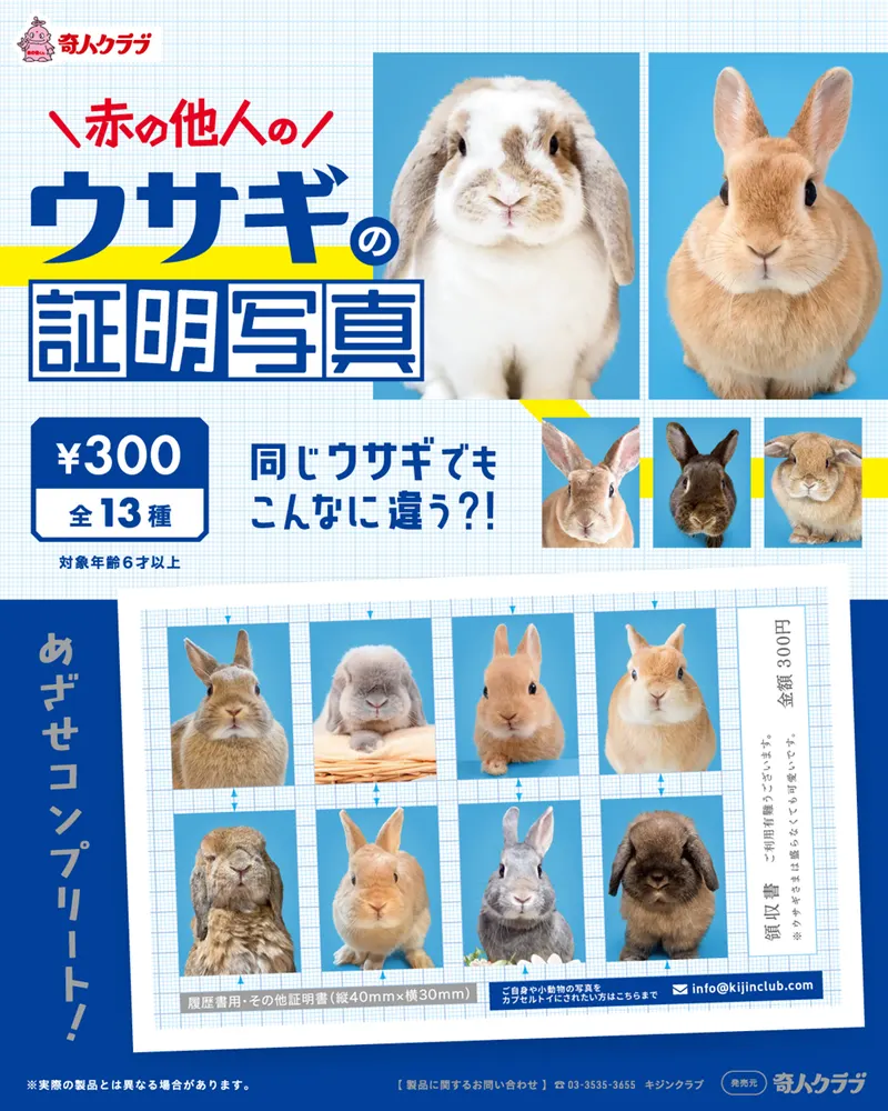 赤の他人のウサギの証明写真(画像)