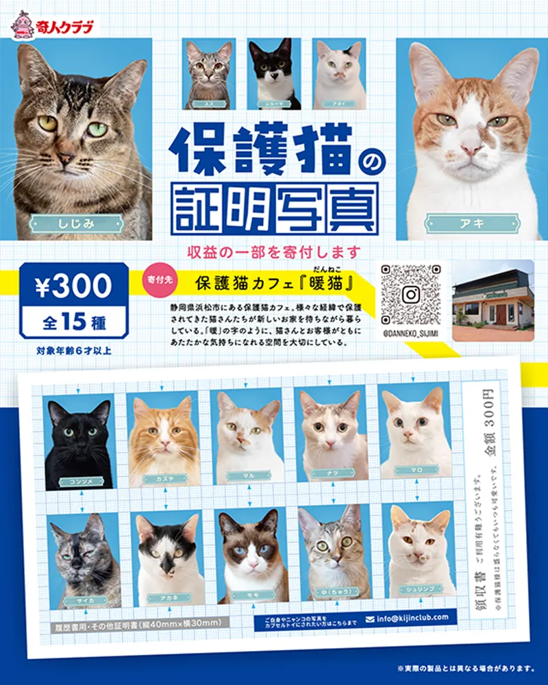 保護猫の証明写真(画像)