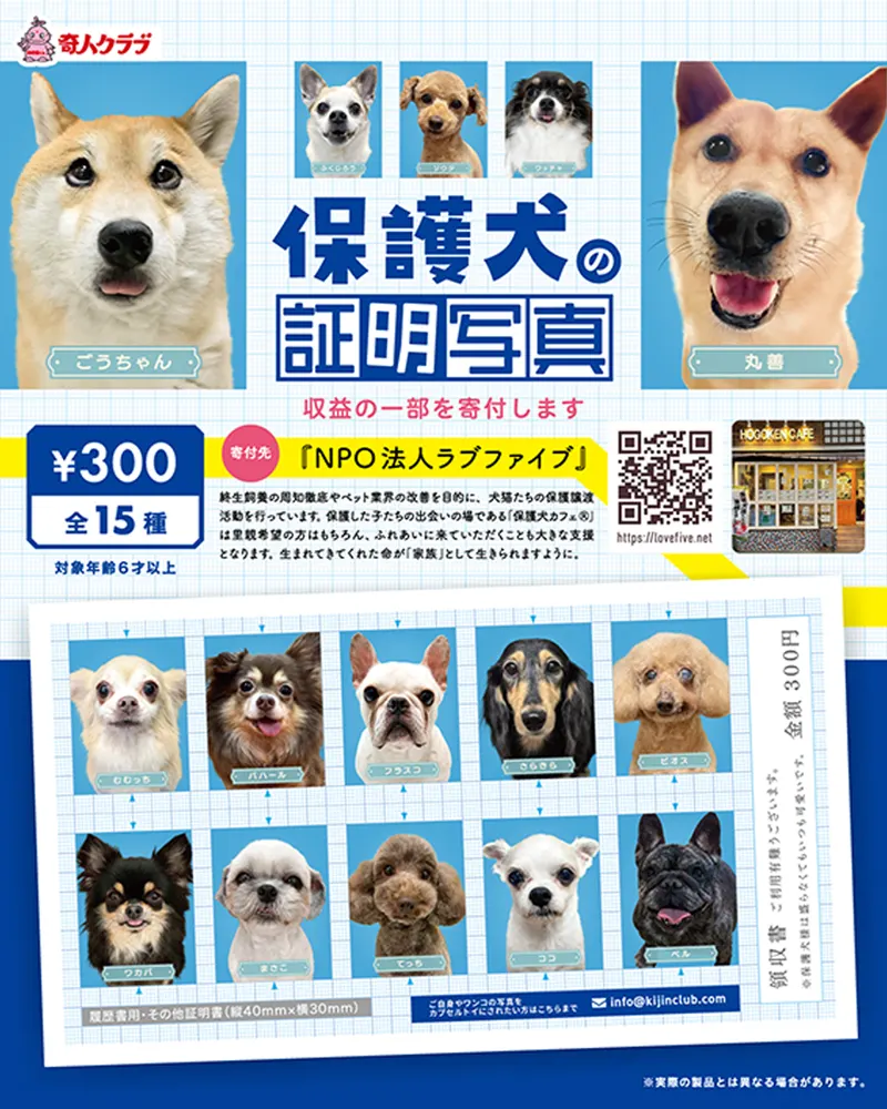 保護犬の証明写真(画像)